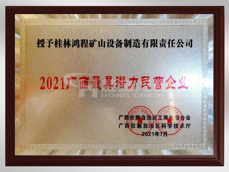 2021廣西最具潛力民營企業